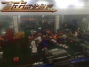 吉林延邊州青山伴金山 多舉措助力 綠色 崛起