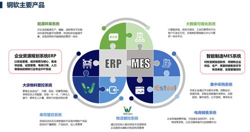 上海軟件開發 機遇、挑戰與未來展望